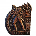 GD VERŽEJ 1880 1980 brončana